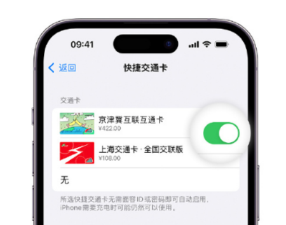 新安apple维修点分享iPhone上更换Apple Pay快捷交通卡手绘卡面 