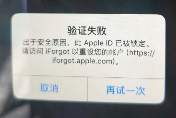 新安iPhone维修分享iPhone上正常登录或使用AppleID怎么办 