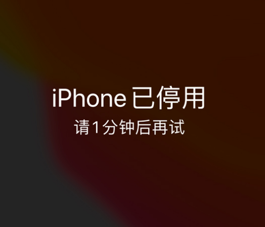 新安苹果手机维修分享:iPhone 显示“不可用”或“已停用”怎么办？还能保留数据吗？ 