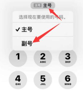 新安苹果14维修店分享iPhone 14 Pro Max使用副卡打电话的方法 