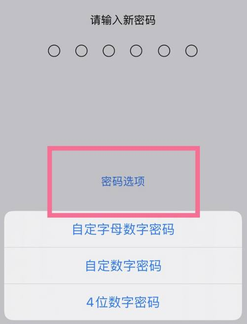 新安苹果14维修分享iPhone 14plus设置密码的方法 