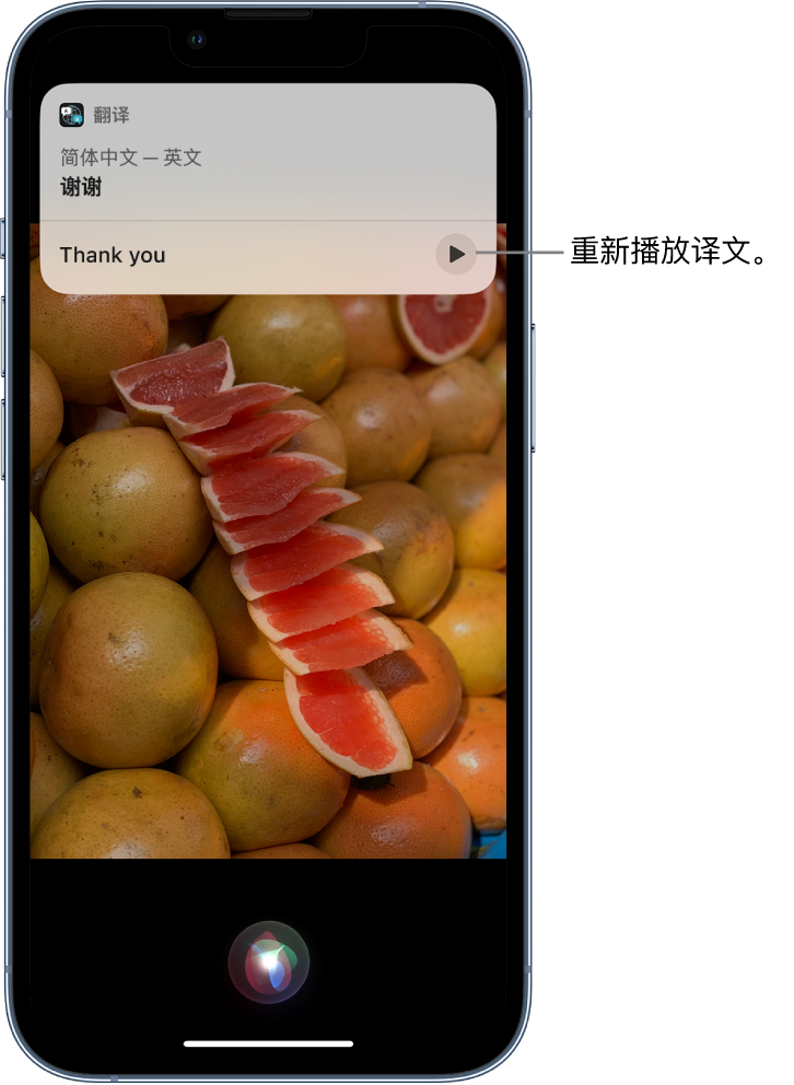 新安苹果14维修分享 iPhone 14 机型中使用 Siri：了解 Siri 能帮你做什么 