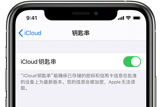 新安苹果手机维修分享在 iPhone 上开启 iCloud 钥匙串之后会储存哪些信息 