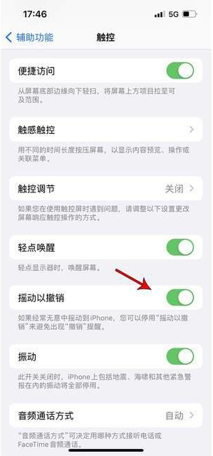 新安苹果手机维修分享iPhone手机如何设置摇一摇删除文字 